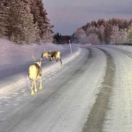 Lapland I With Private Sauna, Wifi And Parking Next To The Railway Station 公寓 罗瓦涅米