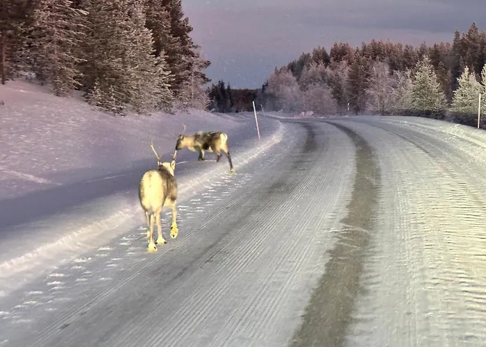 Lapland With Private Sauna, Wifi And Parking Next To The Railway Station 아파트 로바니에미